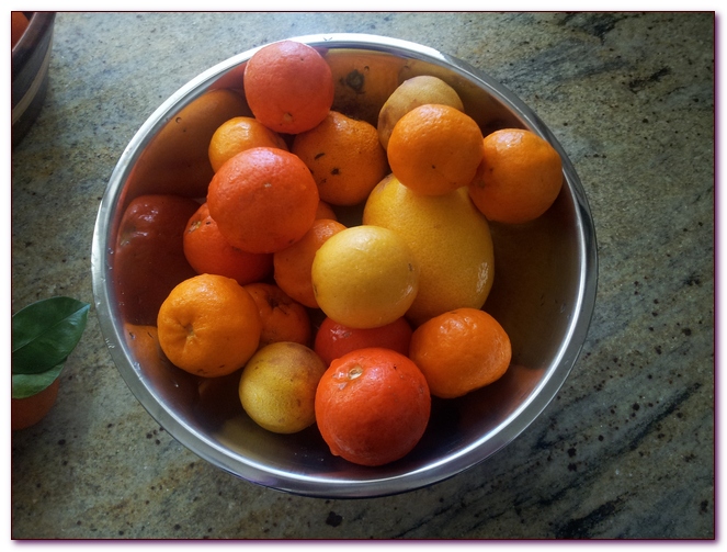 Fruit picked and washed and ready to go