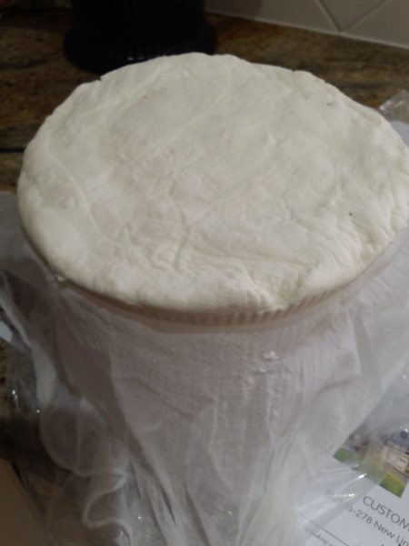 Drained ricotta - push down well into shaped container 