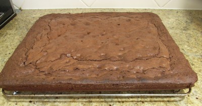 Brownie slab