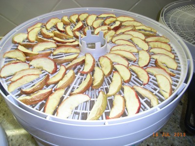 Apples drying with skin on