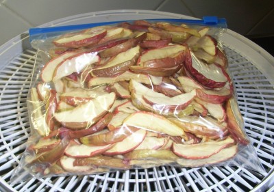 Apples dried and bagged