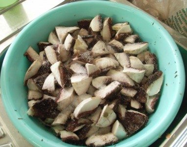 Chopped salted mushrooms 